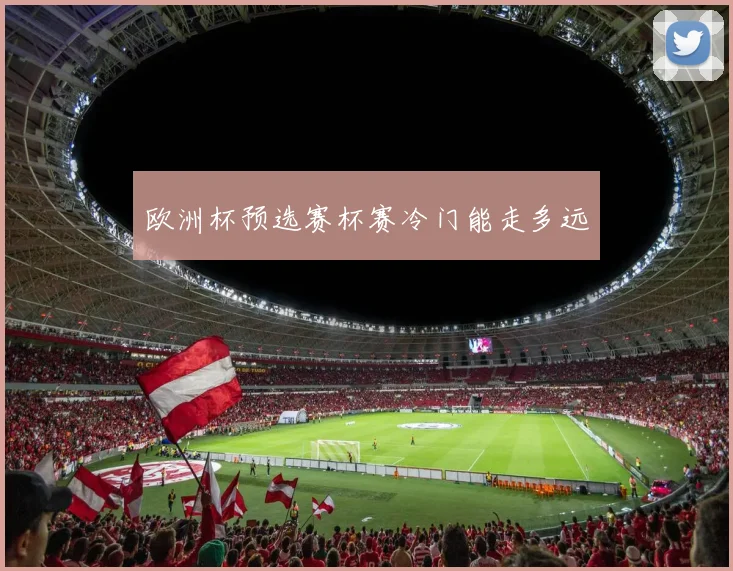 欧洲杯预选赛杯赛冷门能走多远