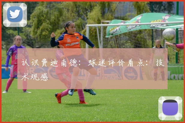 认识费迪南德:球迷评价看点:技术观感